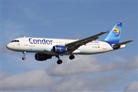 Alfonso Sols - Asociacin Canary Islands Spotting. Click to see full size photo