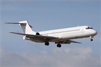 Alfonso Sols - Asociacin Canary Islands Spotting. Click to see full size photo