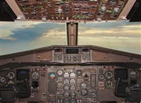 Joo Henrique. Click to see full size photo
