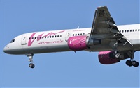 Rubn Gil - Noisy Spotters. Click to see full size photo