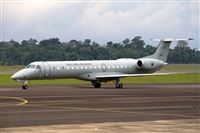 Javier de la Cruz - CANARY ISLANDS SPOTTING. Click to see full size photo