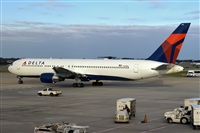 Javier de la Cruz - CANARY ISLANDS SPOTTING. Click to see full size photo