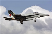Antonio Zamora - La Mancha Spotters. Click to see full size photo
