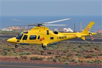 Miguel A. gueda Rguez.  (CANARY ISLANDS SPOTTING). Haz click para ampliar