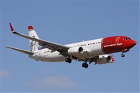 Alfonso Sols - Asociacin Canary Islands Spotting. Click to see full size photo