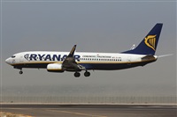 Adrin Alonso Lemes - Lanzarote Spotters. Click to see full size photo