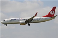 Alvaro Mijares (Seoul Spotting). Click to see full size photo