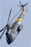 Juan Antonio Lpez Delgado, Asociacin de Spotters de Canarias (Canary Islands Spotting). Click to see full size photo
