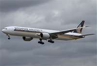 Jos Miguel Bernases - Noisy Spotters. Click to see full size photo