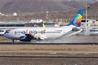 ©Alfonso Solís - Asociación Canary Islands Spotting. Click to see full size photo ©Alfonso Solís - Asociación Canary Islands Spotting. Click to see full size photo