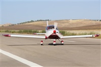 ©Salvador de la Rubia ( Marbella Spotters ). Click to see full size photo ©Salvador de la Rubia ( Marbella Spotters ). Click to see full size photo