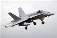 J. Victor Vega-Gran Canaria Spotters. Click to see full size photo