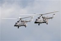Dmitry Yakovlev - RuSpotters Team. Click to see full size photo