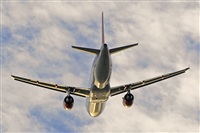 Miguel A. gueda Rguez.  (CANARY ISLANDS SPOTTING). Click to see full size photo