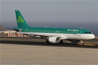 ©Alfonso Solís - Asociación Canary Islands Spotting. Click to see full size photo ©Alfonso Solís - Asociación Canary Islands Spotting. Click to see full size photo