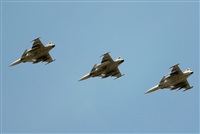 Tams. Click to see full size photo