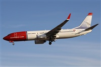 ©Alfonso Solís - Asociación Canary Islands Spotting. Click to see full size photo ©Alfonso Solís - Asociación Canary Islands Spotting. Click to see full size photo