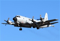 Alejandro H.L - Gran Canaria Spotters. Haz click para ampliar