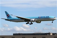 Rubn Gil - Noisy Spotters. Click to see full size photo