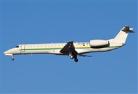 Alejandro H.L - Gran Canaria Spotters. Click to see full size photo