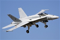 Adolfo Bento - Gran Canaria Spotters. Click to see full size photo