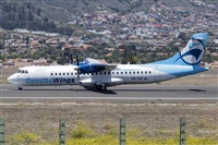 Javier de la Cruz - CANARY ISLANDS SPOTTING. Click to see full size photo