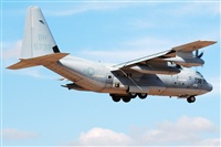 J. Victor Vega-Gran Canaria Spotters. Click to see full size photo