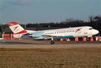 Miguel Alia - Noisy Spotters. Click to see full size photo