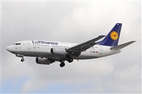 Miguel A. gueda Rguez.  (CANARY ISLANDS SPOTTING). Click to see full size photo
