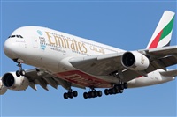 Miguel Alia - Noisy Spotters. Click to see full size photo