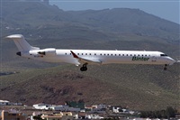 ©Adolfo Bento - Gran Canaria Spotters. Click to see full size photo ©Adolfo Bento - Gran Canaria Spotters. Click to see full size photo