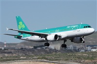 Alfonso Sols - Asociacin Canary Islands Spotting. Click to see full size photo