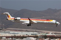Bartolom Fernndez - Gran Canaria Spotters. Haz click para ampliar