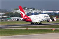 Miguel Alia - Noisy Spotters. Click to see full size photo