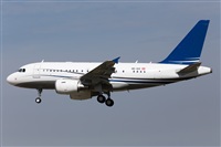 Miguel Alia - Noisy Spotters. Click to see full size photo
