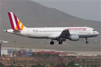 ©Adolfo Bento - Gran Canaria Spotters. Click to see full size photo ©Adolfo Bento - Gran Canaria Spotters. Click to see full size photo