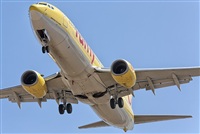 Ayoze Santana Mendez - Canary Islands Spotting. Click to see full size photo
