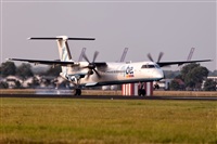 Javier de la Cruz - CANARY ISLANDS SPOTTING. Click to see full size photo