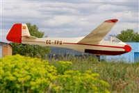 Josep Oll. Click to see full size photo