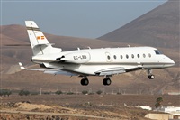 Adrin Alonso Lemes - Lanzarote Spotters. Click to see full size photo