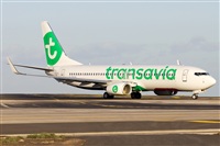 Saimon J Rodriguez   -   Canary Islands Spotting. Click to see full size photo