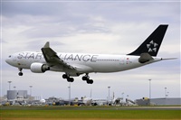 Miguel A. gueda Rguez.  (CANARY ISLANDS SPOTTING). Click to see full size photo