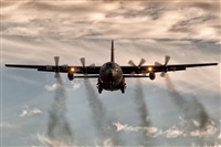 Javier de la Cruz - CANARY ISLANDS SPOTTING. Click to see full size photo