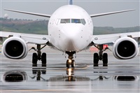 Miguel Martin Cordeiro - Iberian Spotters. Haz click para ampliar