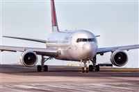 Javier de la Cruz - CANARY ISLANDS SPOTTING. Click to see full size photo