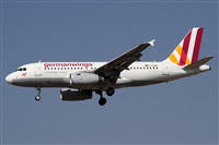 ©Alfonso Solís - Asociación Canary Islands Spotting. Click to see full size photo ©Alfonso Solís - Asociación Canary Islands Spotting. Click to see full size photo