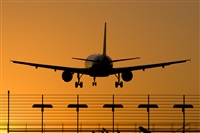 Saimon J Rodriguez   -   Canary Islands Spotting. Click to see full size photo