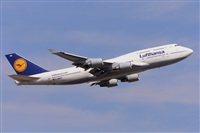 Miguel A. gueda Rguez.  (CANARY ISLANDS SPOTTING). Click to see full size photo