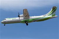 Cndida Hidalgo - Gran Canaria Spotters. Click to see full size photo