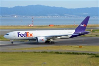 Miguel A. gueda Rguez.  (CANARY ISLANDS SPOTTING). Click to see full size photo